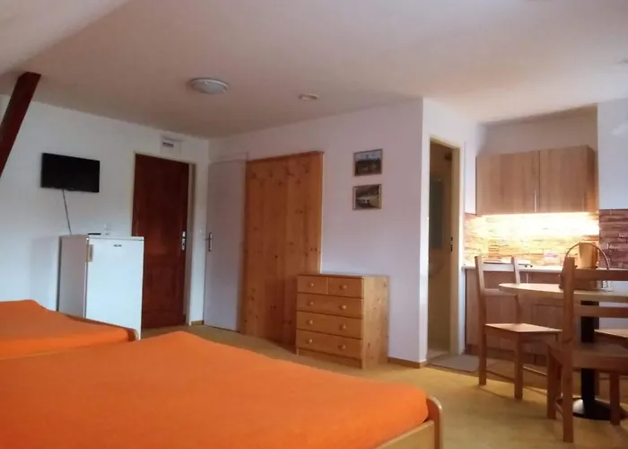 Casa de hóspedes Pod Smrcinou 3*