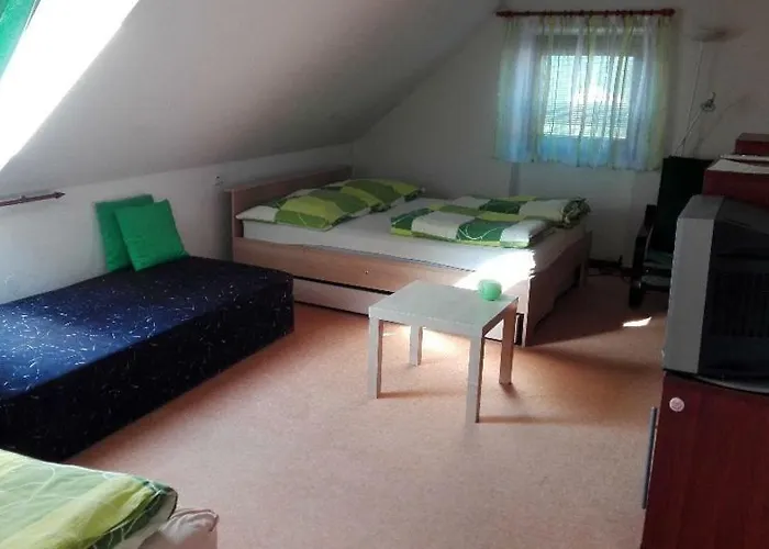 Casa de hóspedes Pod Smrcinou 3*